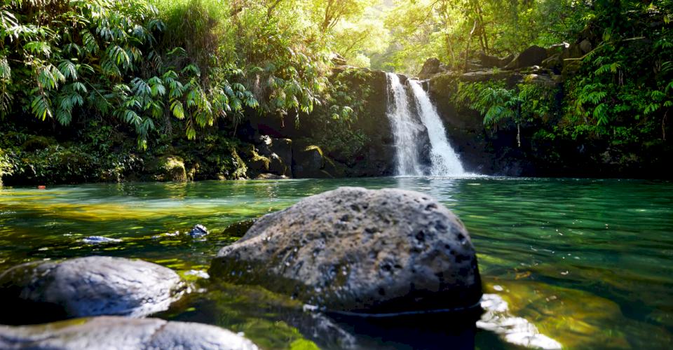 Photo source: iStock