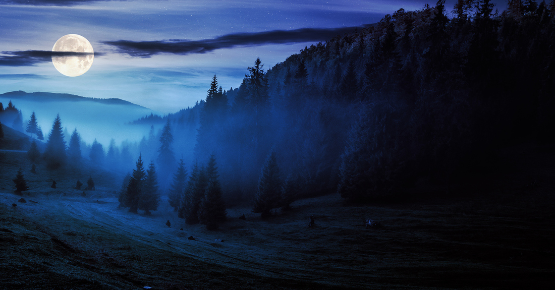 Image source: iStock