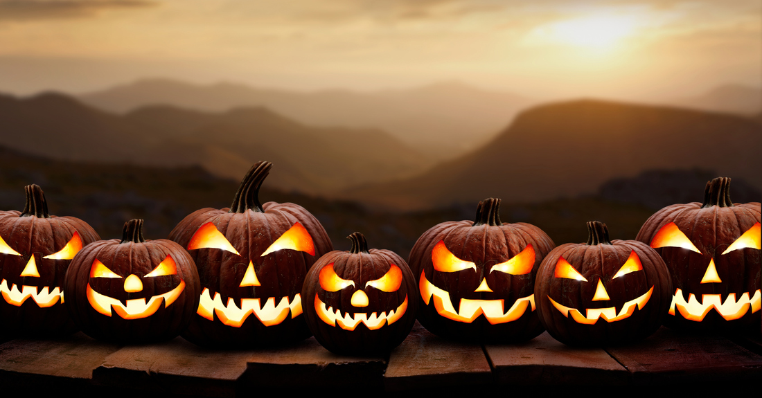 Gaskets, Goblins, and Ghouls, Oh My! A Cure from the Ditch Doctor